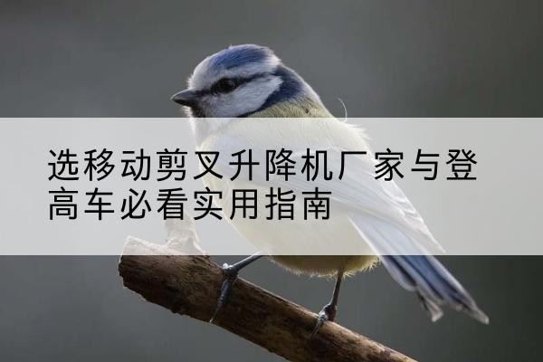 沁源电动升降机厂家-选移动剪叉升降机厂家与登高车必看实用指南