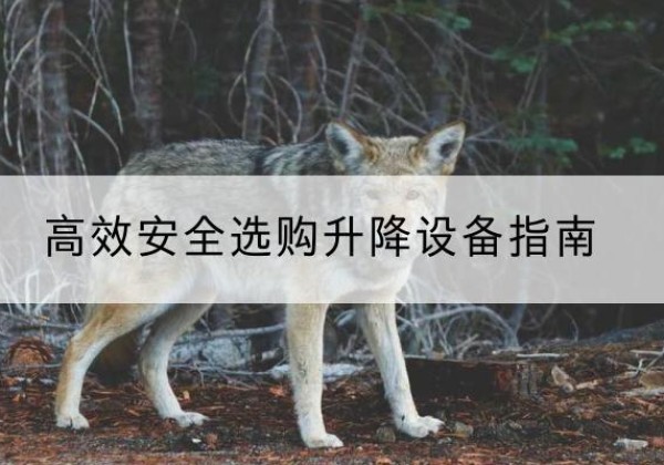 沁源升降货梯厂家推荐-*安全选购升降设备指南